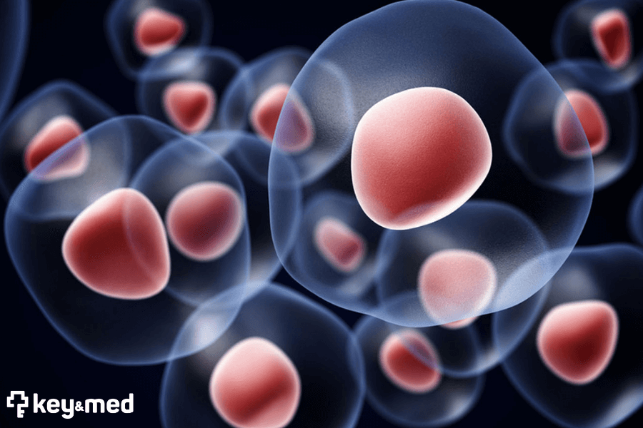 Komórki macierzyste w medycynie estetycznej_Plasma Complex_keymed