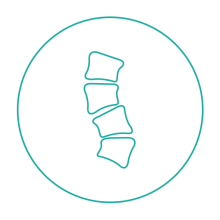 pikto_orto_turkus_2-1