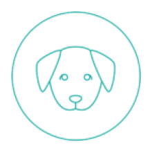 pikto_wet_turkus_2-1-150x150